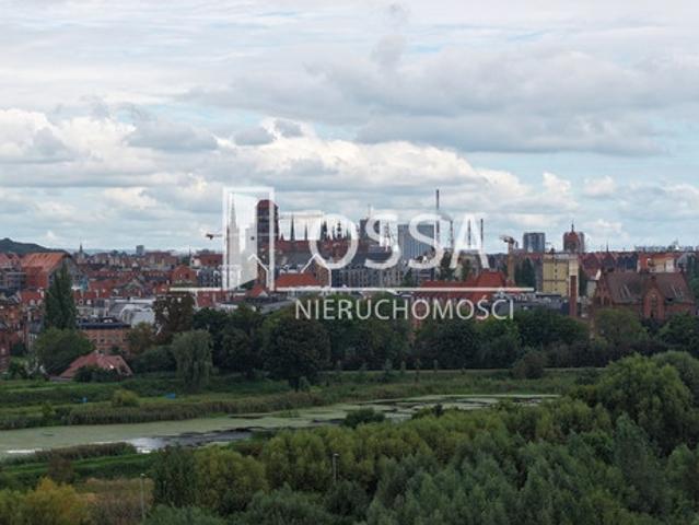 Gdańsk, Olszynka, Bratki