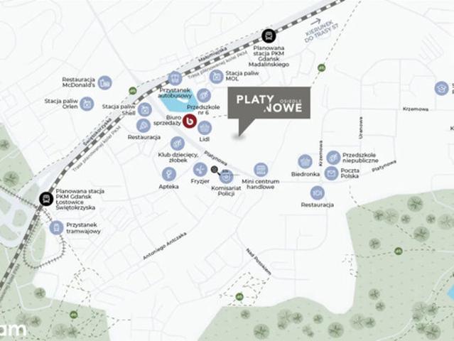 Gdańsk, Orunia Górna, Platynowa
