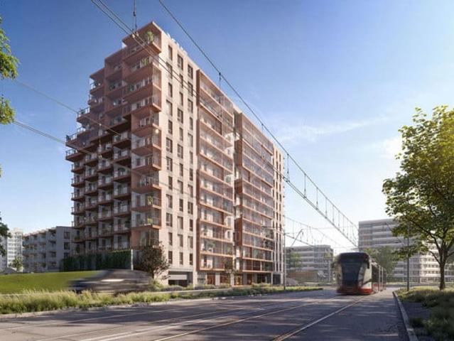 Gdańsk, Morena Piecki Migowo, Franciszka Rakoczego