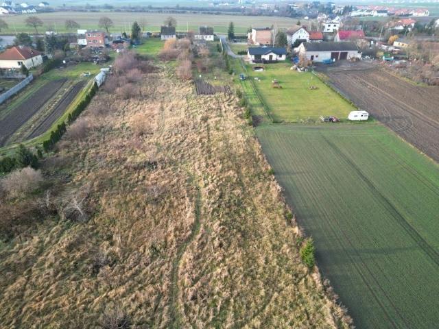 Gdańska 10 000 m², Skowarcz