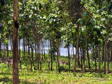 GDPTYLT Fincas Financiadas Desde $250 Quincenal Frente Lago