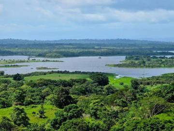 GDPTYLT Fincas Frente Lago Financiadas Desde $5.70M2 SIN INTERES