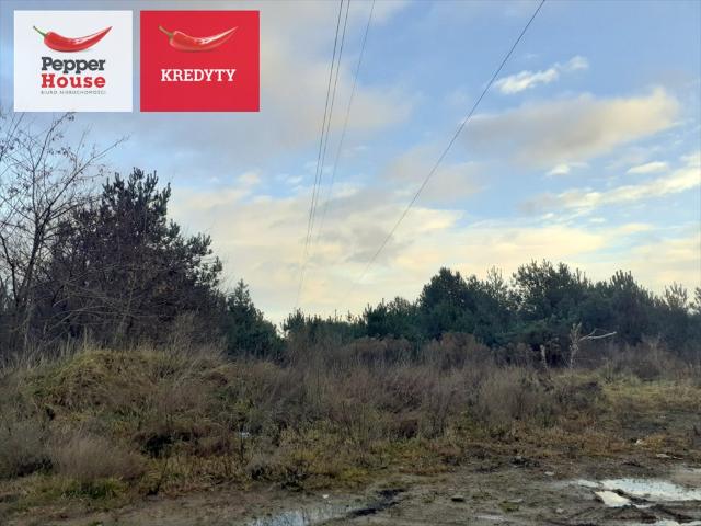 Działka 2161 m2 z usługami i garażami w Gdyni
