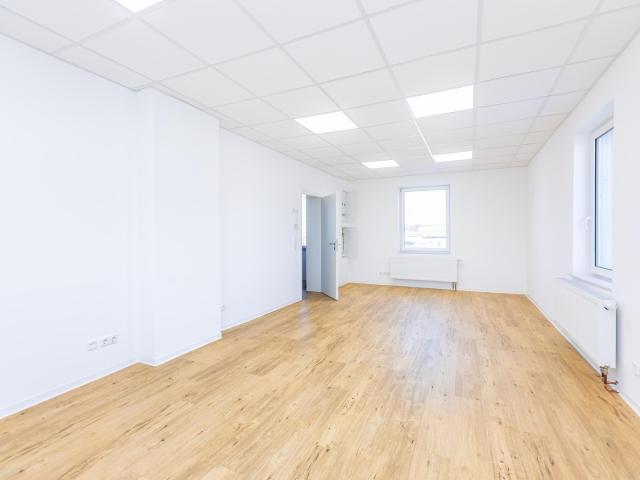 gemütliche Büro / Praxisräume