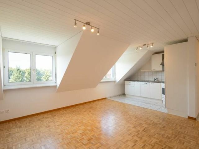Gemütliche Dachwohnung in Sulgen