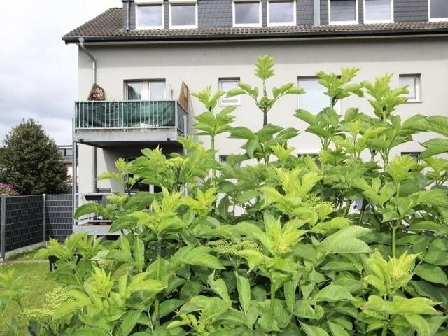 Gemütliche Dachgeschosswohnung in Zentrumsnähe von Erkelenz!