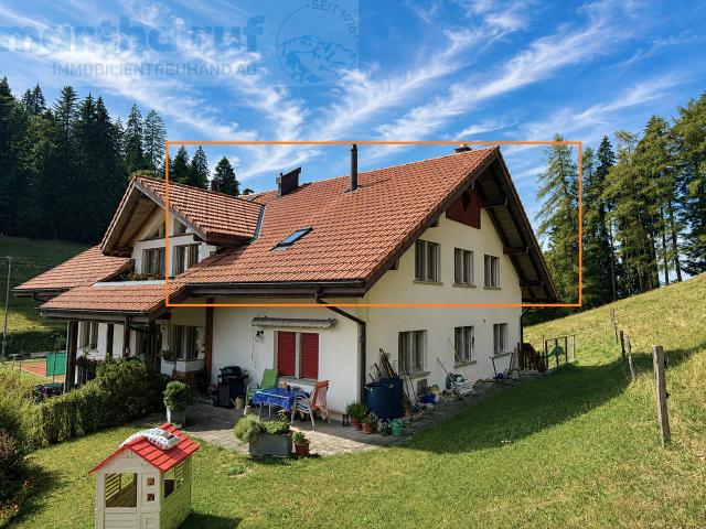 Gemütliche und charaktervolle 3.5 Zimmer Dachwohnung mit Galerie