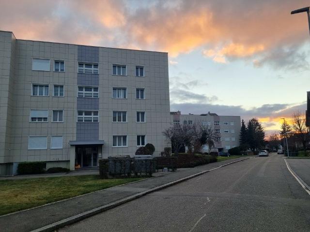 Gemütliche Wohnung sucht Bewohner