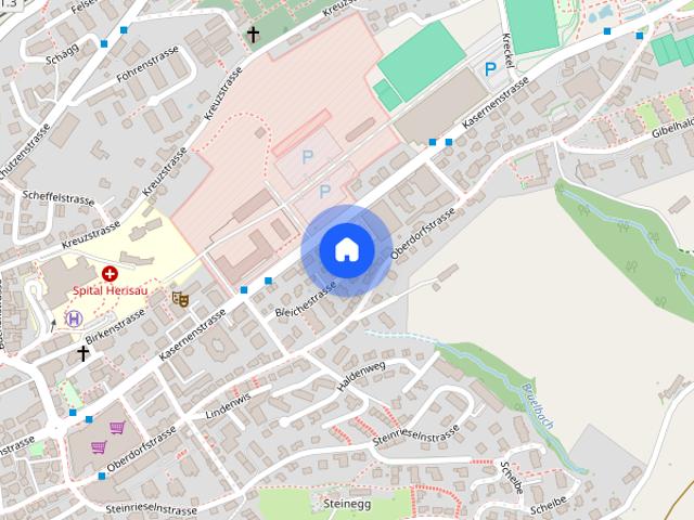 Gemütliche Wohnung sucht Single!