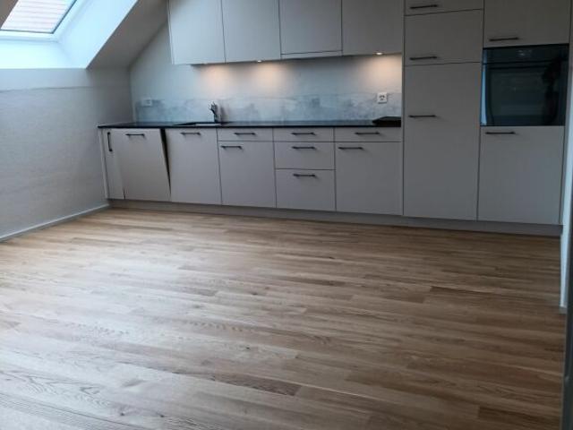 Gemütliche 2.5 Zi Dachwohnung mit Galerie in der neuen Überbauung Hübsche Mätteli an ruhiger und zentraler Lage