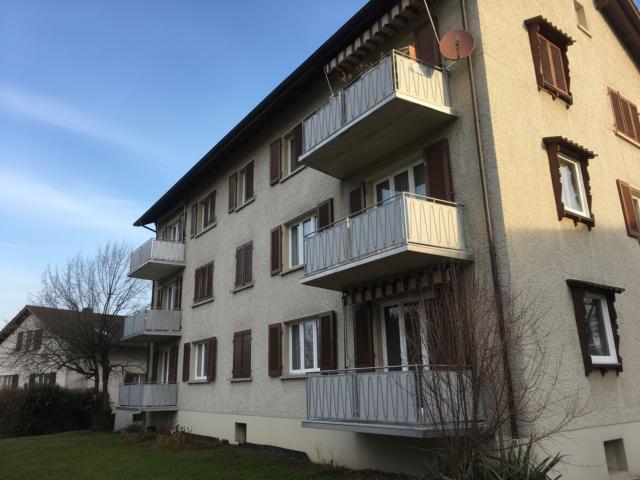 Gemütliche 3.5 Zimmerwohnung in Frauenfeld
