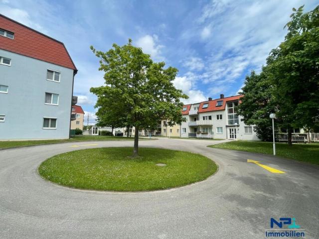 Gemütliche 3 Zimmer Mietwohnung in Brunn am Gebirge
