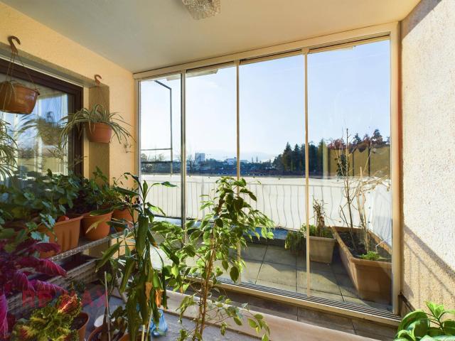Gemütliche 3 Zimmer Wohnung mit Loggia und sonnigem Balkon