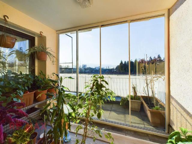 Gemütliche 3 Zimmer Wohnung mit Loggia und sonnigem Balkon