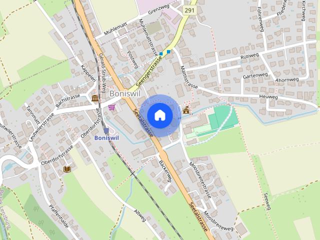 Gemütliches Wohnen in Boniswil