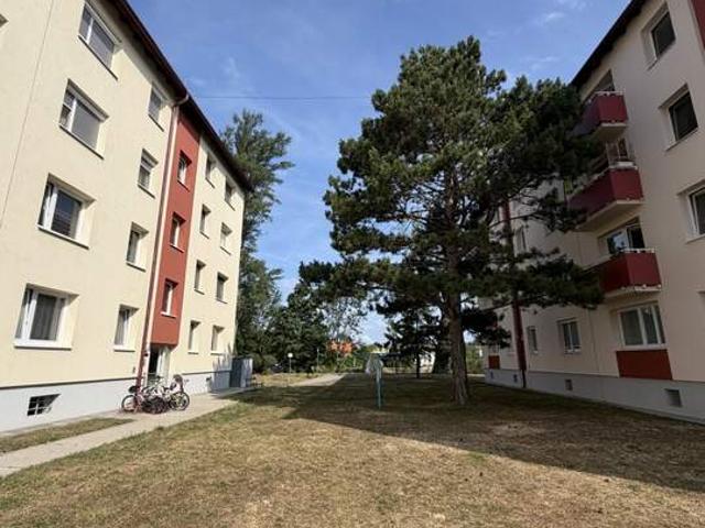 Gemütliches Zuhause