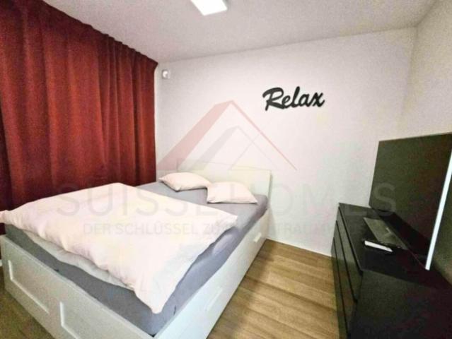 Gemütliches Studio Apartment mit Balkon in Lostorf