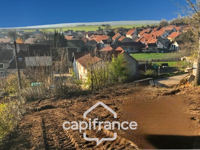 Gemeaux Vente Terrain 21