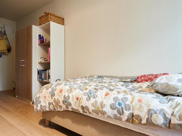 Gemeubileerde studio's voor studenten in Leiden