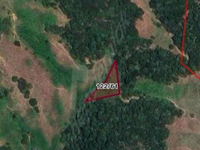 GEMLİK ŞAHİNYURDU KÖYÜ'NDE 384 m2 TARLA