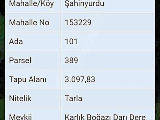 gemlikten 15 km uzaklikta yatırımlık tarla vadi içinde