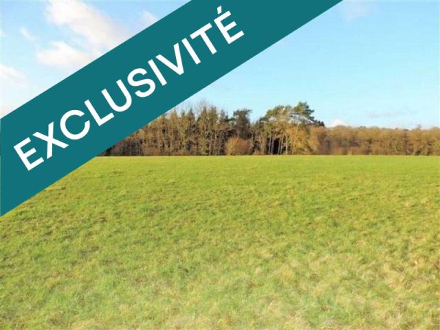 Gémozac Vente Terrain 17