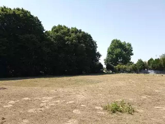 Gémozac 17260 Achat / Vente terrain