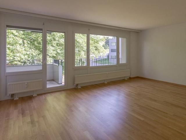 Generous 2.5 room apartment!