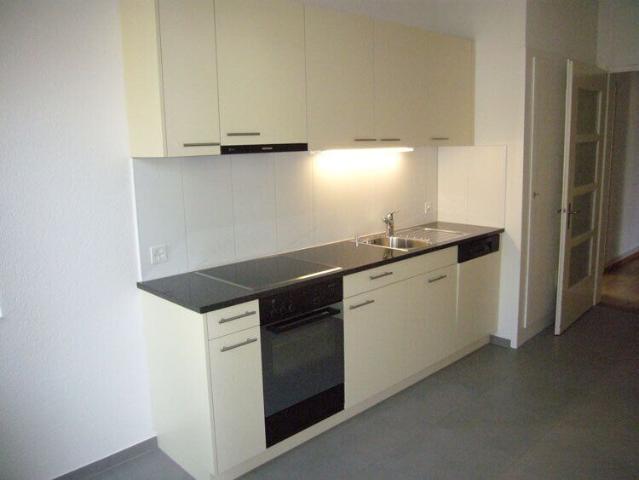 Generous apartment in a central location