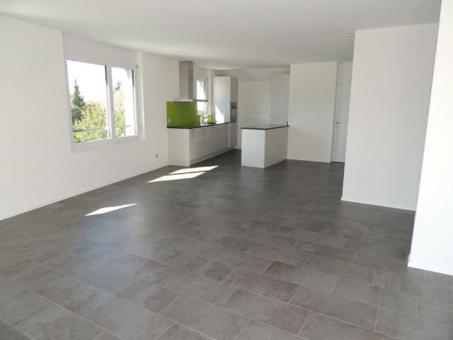 Generous attic apartment with sun terrace