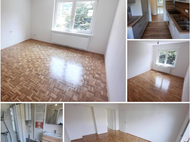 Generalsanierte Wohnung in Murau zu vermieten!