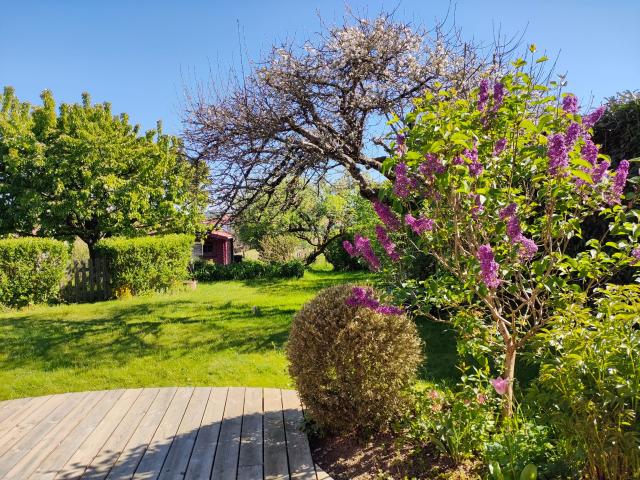 Geneuille Vente Maison 25