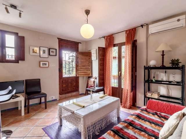 Genial apartamento de 1 dormitorio en alquiler en Albaicín, Granada