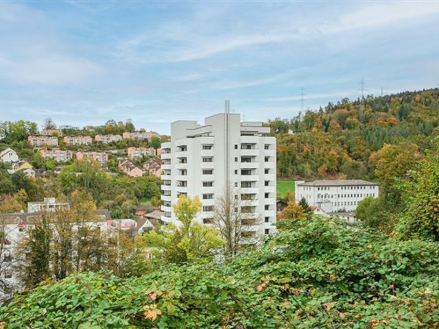 Geniessen Sie den den Feierabend auf Ihrer 126m2 Dachterrasse
