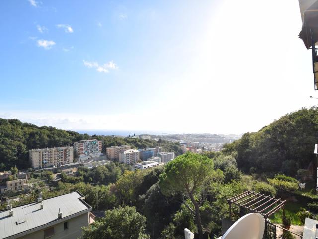 Genova Via Pasquale Berghini, 48