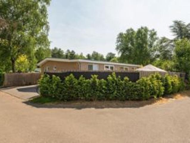 Geheel gerenoveerde luxe chalet met 4 slaapkamers in Poppel