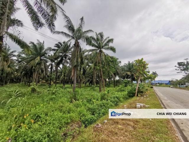 Gelang Patah Industrial Land for Sale