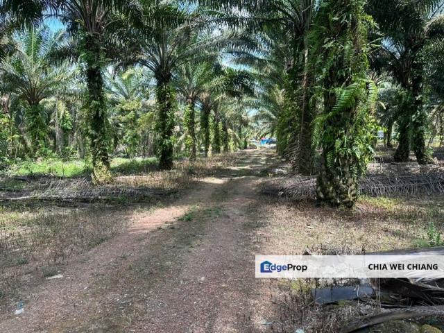 Gelang Patah Residential Land for Sale