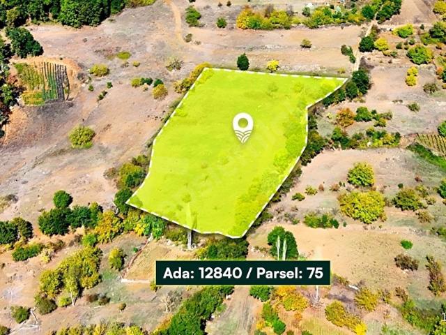 GELECEĞE DEĞERLİ BİR YATIRIM YAPMAK İSTEYENLERE 6.333 M TARLA