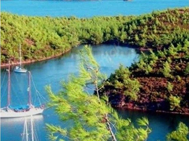 GELECEGE YATIRIM AMAÇLAYANLAR İÇİN SARIGERME'DE YATIRIMLIK TARLA SATILIK