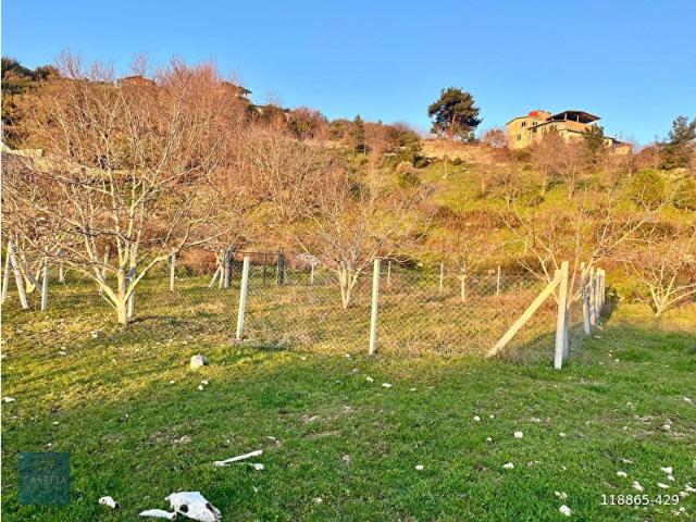 Gelişmekte Olan Bölgede Yatırım İçin İdeal 352 m2 Tarla
