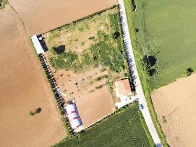 Gelibolu Bolayırda Anayola Cephe Satılık Çiftlik