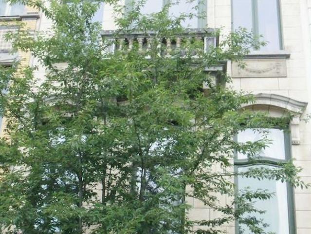 Gelijkvloers app. te huur in Antwerpen voor € 875 met 1 slaapkamer