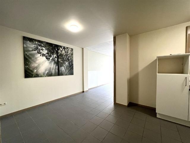 Gelijkvlvoers appartement met loft allure