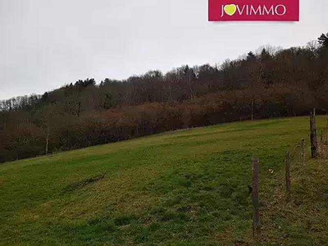 Gelles 63740 Achat / Vente terrain