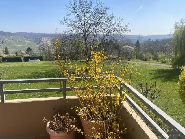 Gepflegte 3 1/2 Zimmer Wohnung am Ende einer Sackgasse mit Blick ins Grüne!