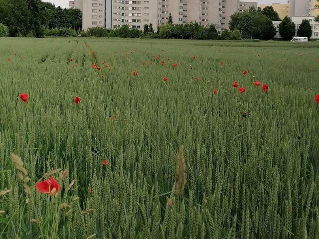 Gepflegte & sonnige 3,5 Zimmer Penthaus Wohnung mit Weitblick in Stuttgart Möhringen