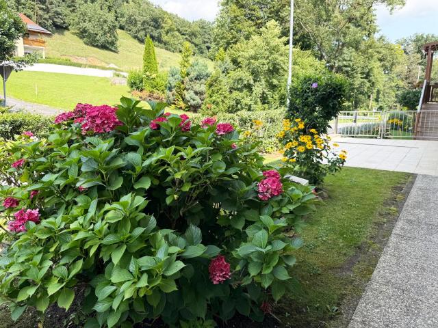 Gepflegter Bungalow unweit von Leiben Garten inklusive!