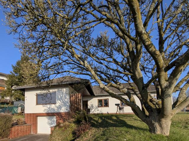 Gepflegtes Einfamilienhaus in echter Toplage von Frankenberg