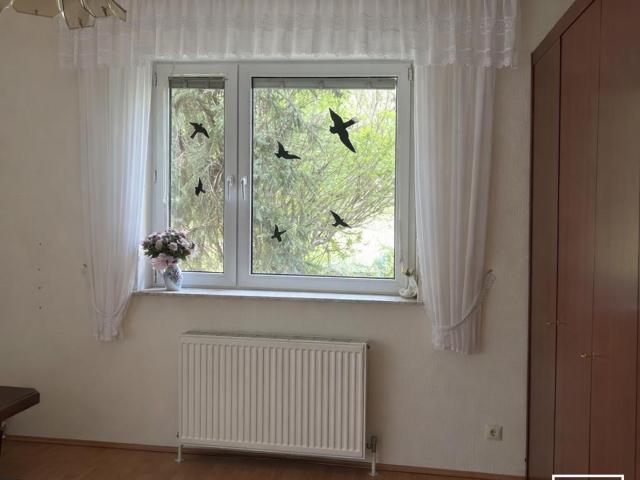 Gepflegtes Einfamilienhaus in Riedenthal Nähe Wolkersdorf